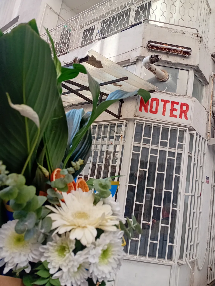 Susurluk Noter Yeni Görev Tebriği Teslimatımız - Susurluk Botanik Çiçek Evi